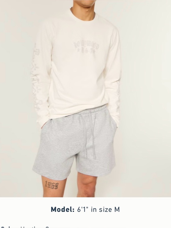 Hollister Other - Hollister Men’s Shorts